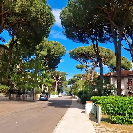 Apartment Daria - E Servizio