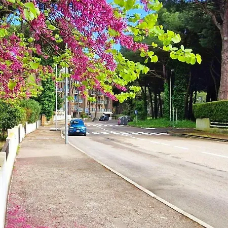 Daria - E Servizio Apartamento